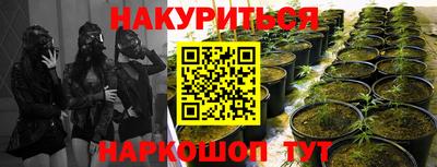 mdpv Лесосибирск