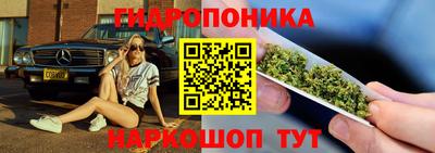 mdpv Лесосибирск