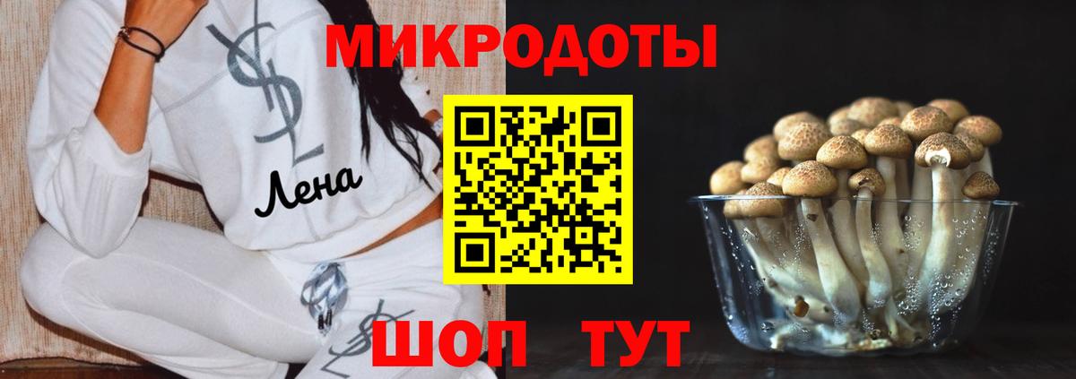 купить наркотик  Вход с VPN  Губкинский  Галлюциногенные грибы мицелий 